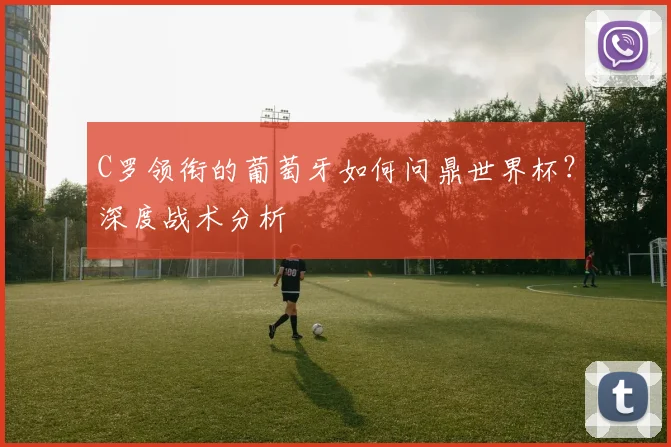 C罗领衔的葡萄牙如何问鼎世界杯？深度战术分析