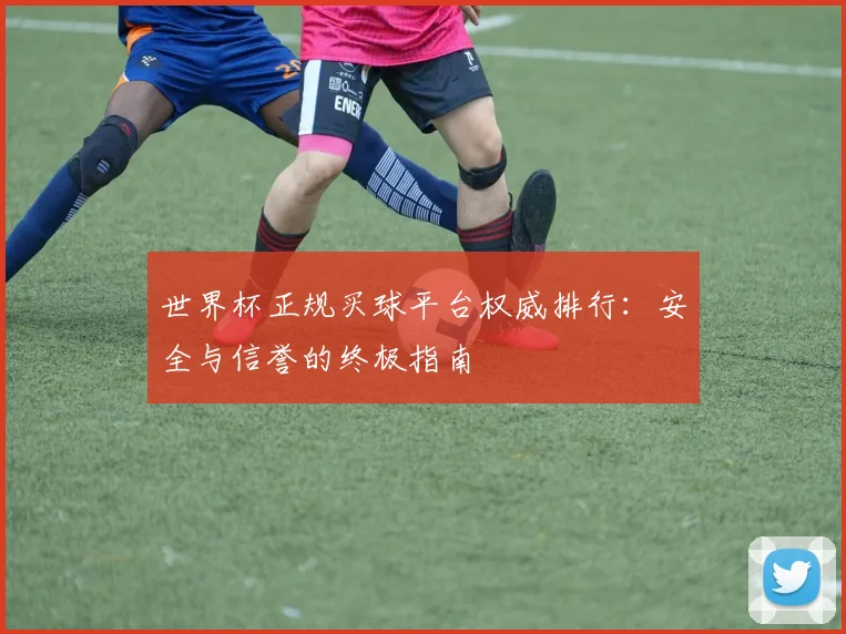 世界杯正规买球平台权威排行：安全与信誉的终极指南