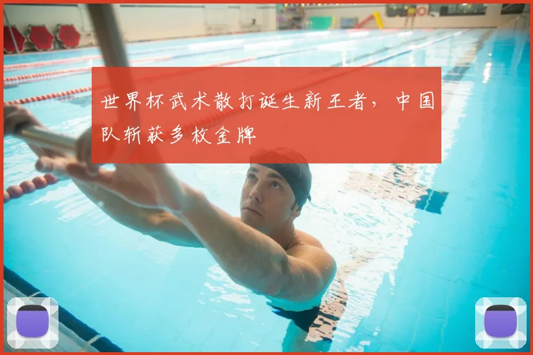 世界杯武术散打诞生新王者，中国队斩获多枚金牌