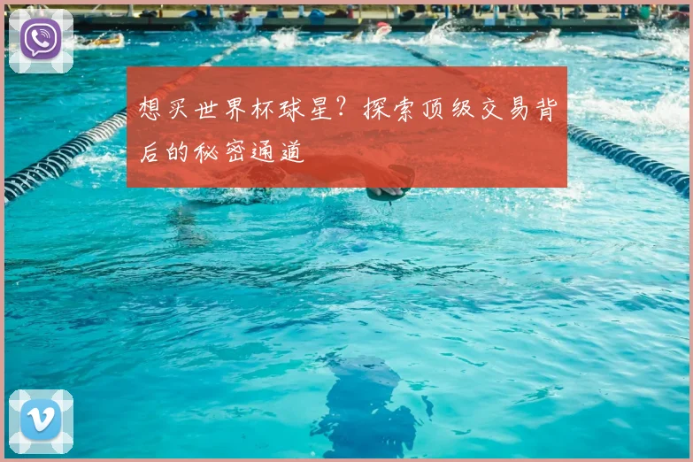 想买世界杯球星？探索顶级交易背后的秘密通道
