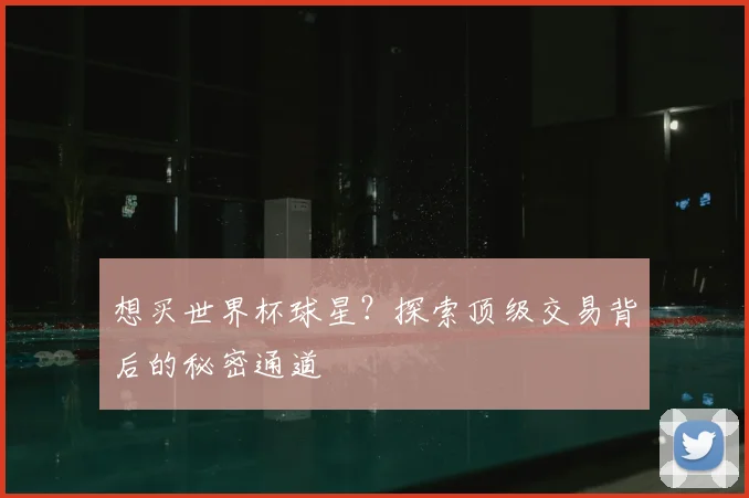 想买世界杯球星？探索顶级交易背后的秘密通道