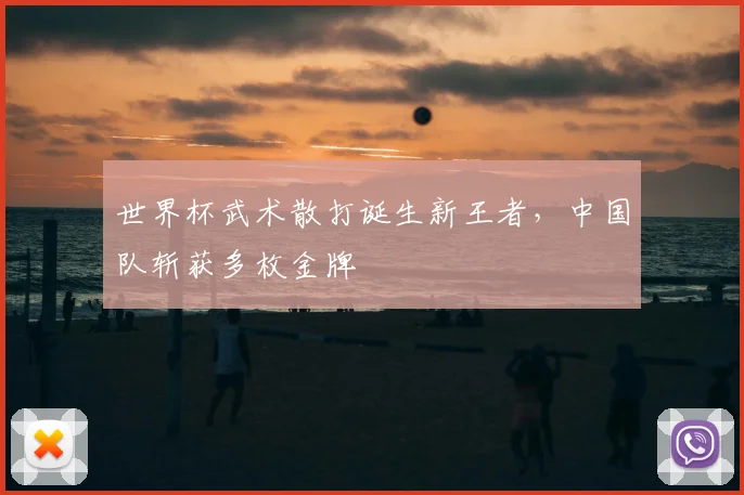 世界杯武术散打诞生新王者，中国队斩获多枚金牌