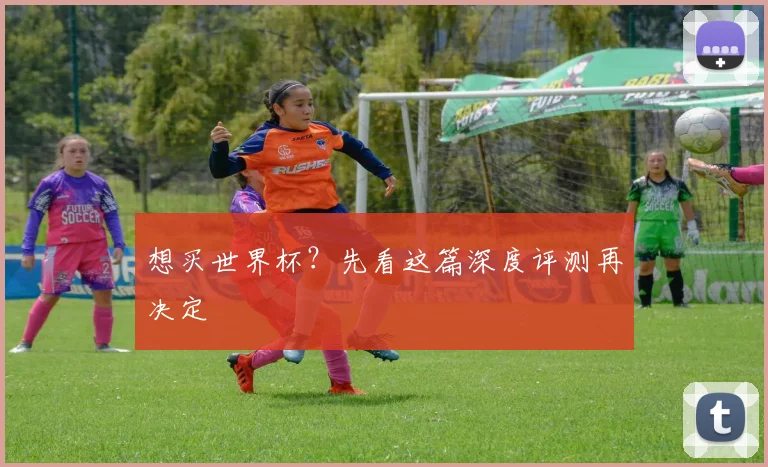 想买世界杯？先看这篇深度评测再决定