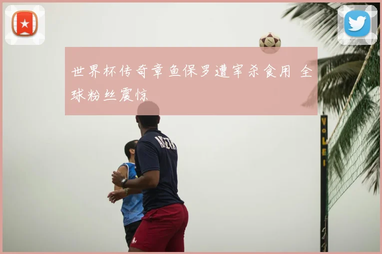 世界杯传奇章鱼保罗遭宰杀食用 全球粉丝震惊